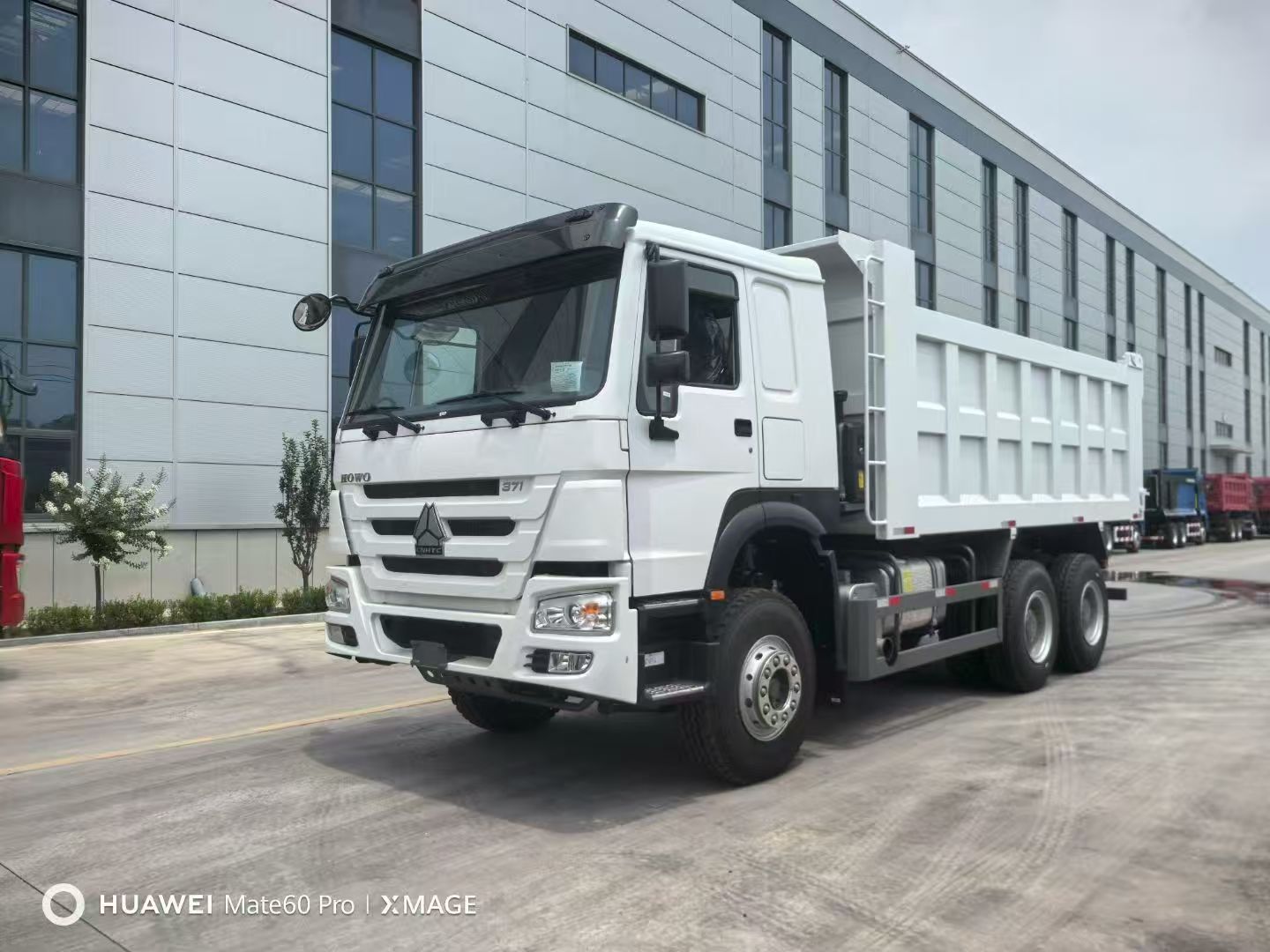 Xe tải Synotruk Howo